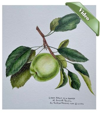 Green Apple on a Branch